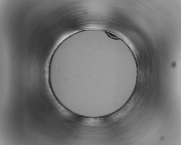 X0000101981195200808151354