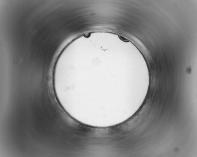 X0000101981196200808151354