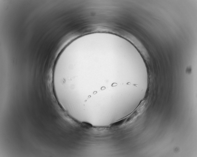 X0000101981198200808151354