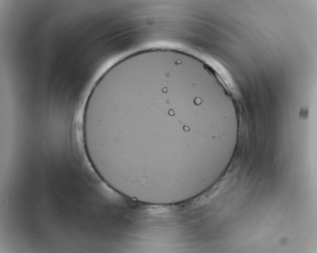 X0000101981199200808151354