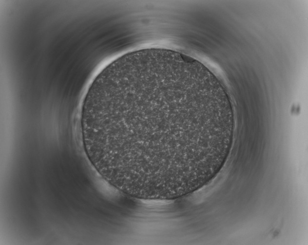 X0000101981200200808151354