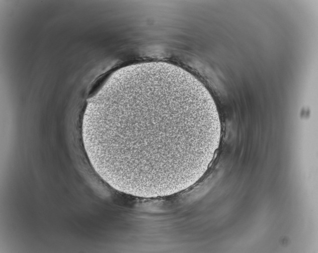 X0000101981201200808151353