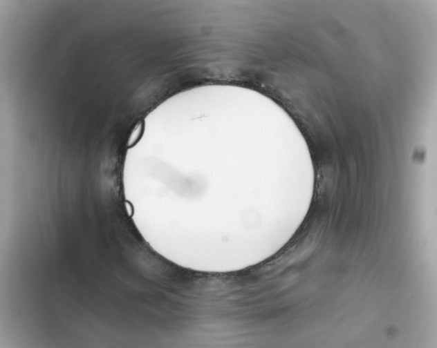 X0000101981202200808151353