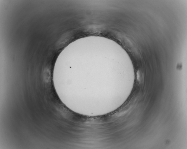 X0000101981203200808151353