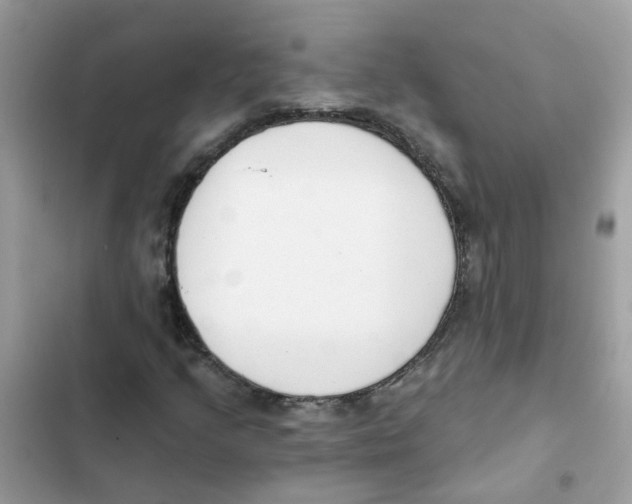 X0000101981205200808151353