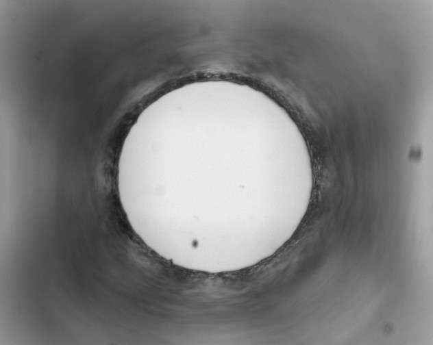 X0000101981207200808151353