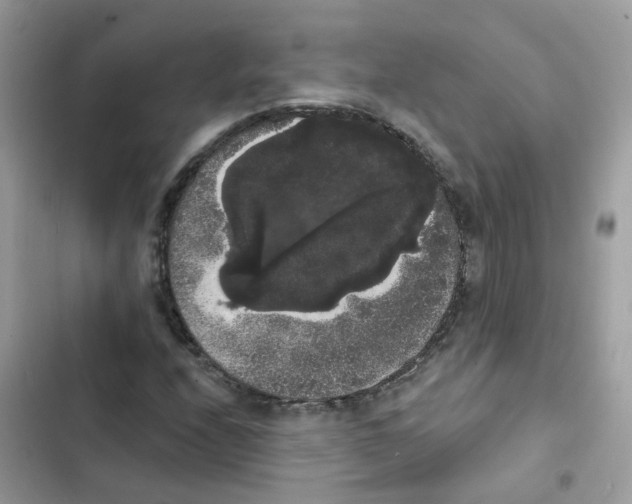 X0000101981208200808151353