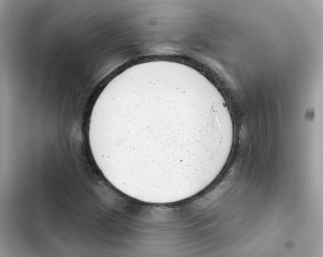 X0000101981209200808151353