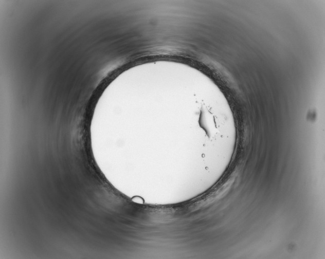 X0000101981210200808151353