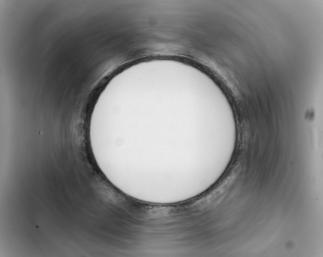 X0000101981211200808151353