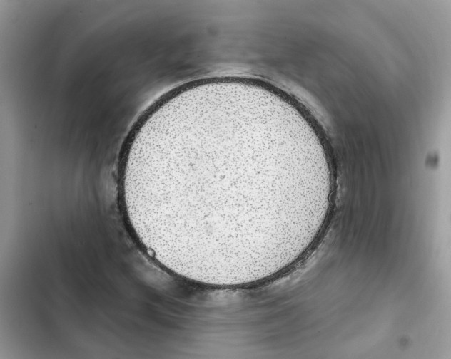 X0000101981212200808151353