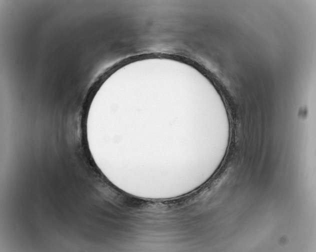 X0000101981214200808151353