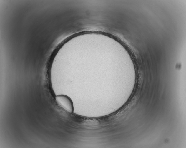 X0000101981215200808151353