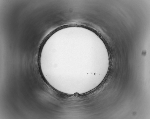 X0000101981216200808151353