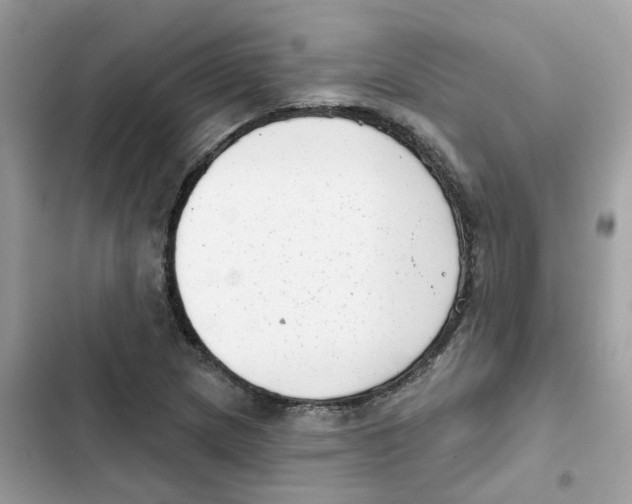 X0000101981217200808151353