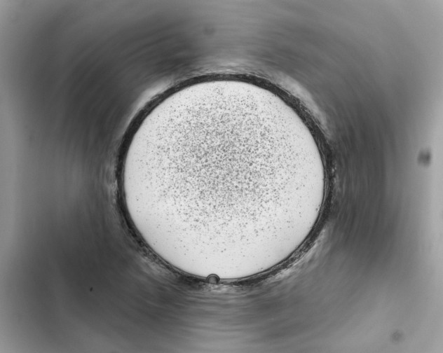 X0000101981218200808151353