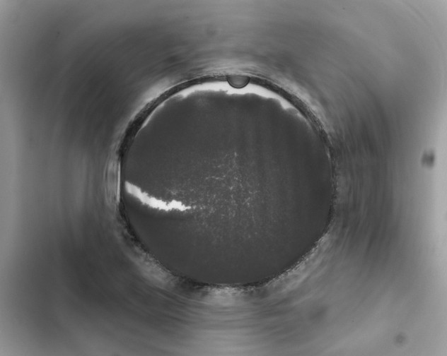 X0000101981219200808151353