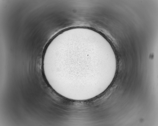 X0000101981220200808151353