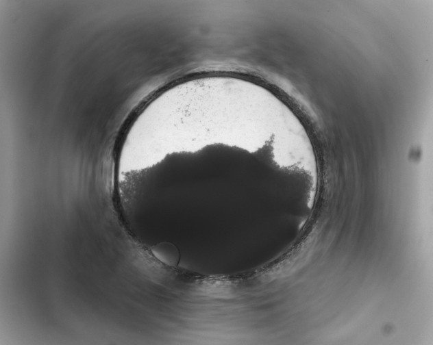 X0000101981221200808151353