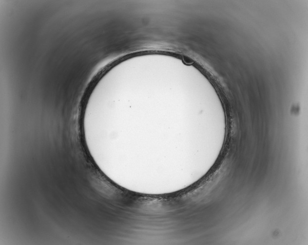 X0000101981222200808151353