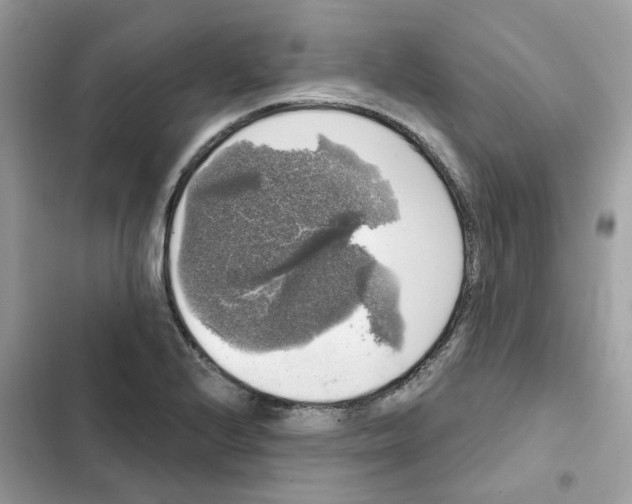 X0000101981224200808151354