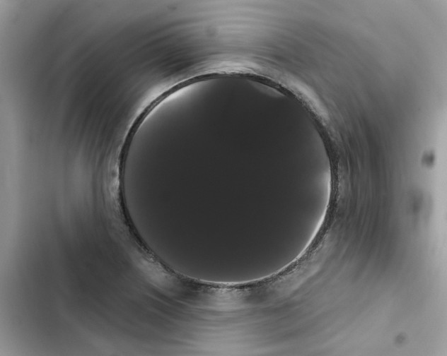 X0000101981226200808151354