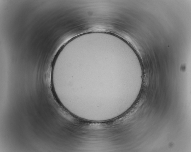 X0000101981227200808151354