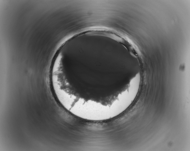 X0000101981229200808151354