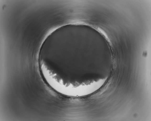 X0000101981231200808151354