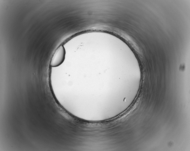 X0000101981232200808151354