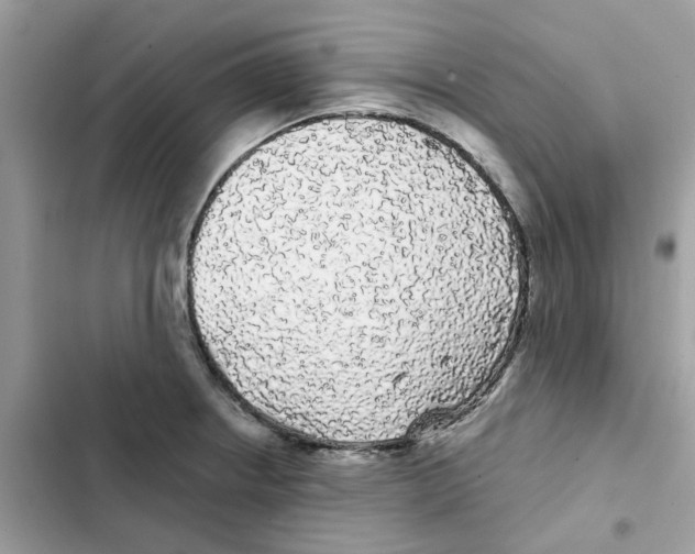 X0000101981234200808151354