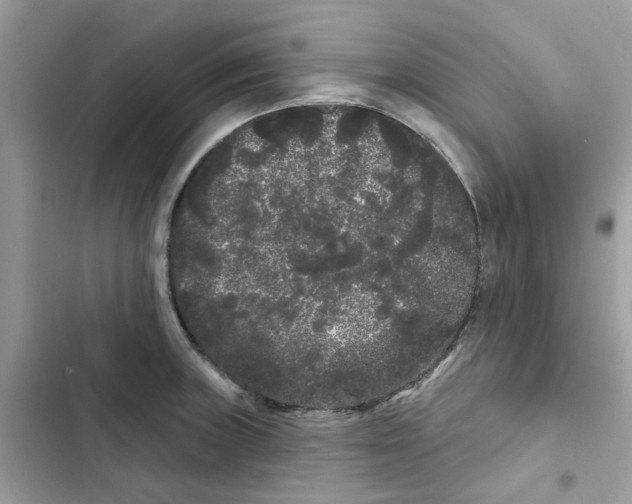 X0000101981235200808151354