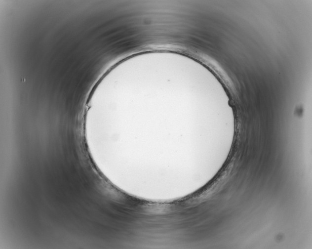 X0000101981236200808151354