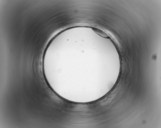 X0000101981238200808151354