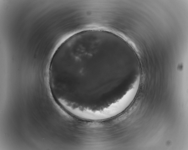 X0000101981239200808151354