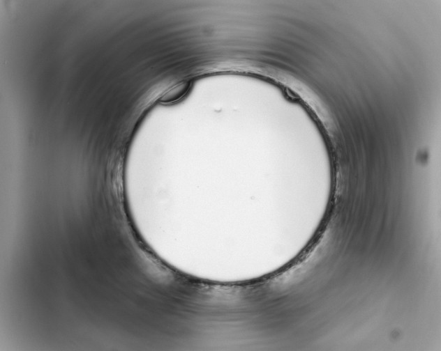 X0000101981241200808151354