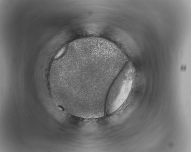 X0000101981249200808151353