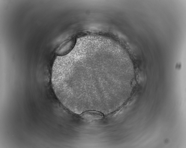 X0000101981253200808151353