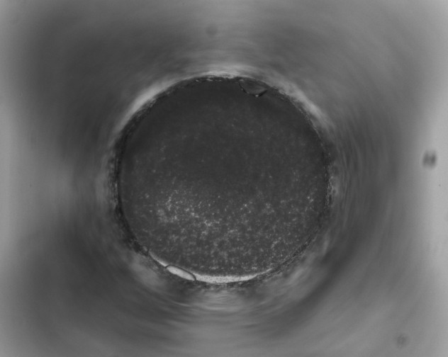 X0000101981256200808151353