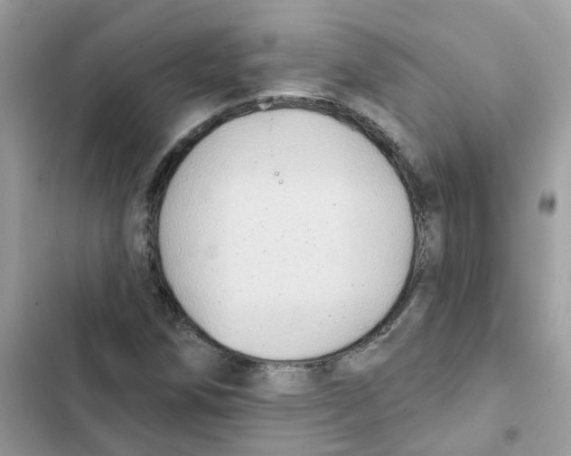 X0000101981258200808151353