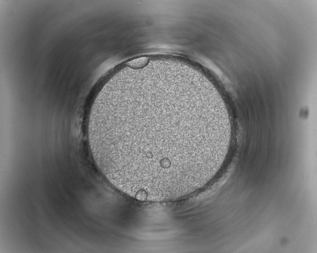 X0000101981259200808151353