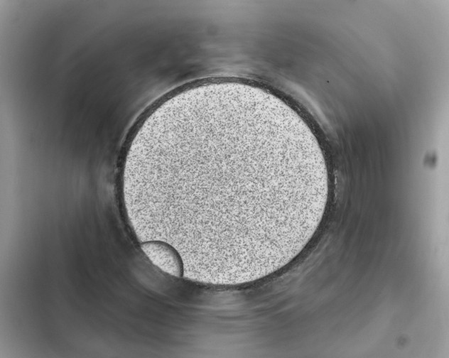 X0000101981260200808151353