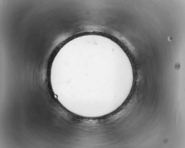 X0000101981261200808151353