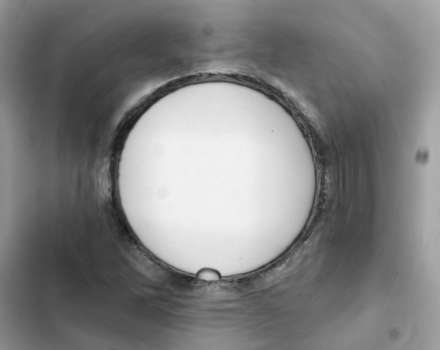 X0000101981262200808151353