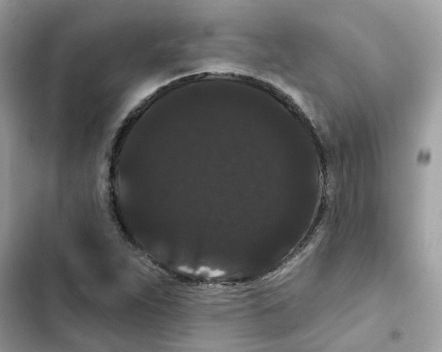 X0000101981263200808151353