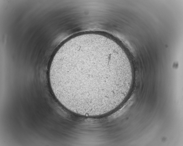 X0000101981265200808151353