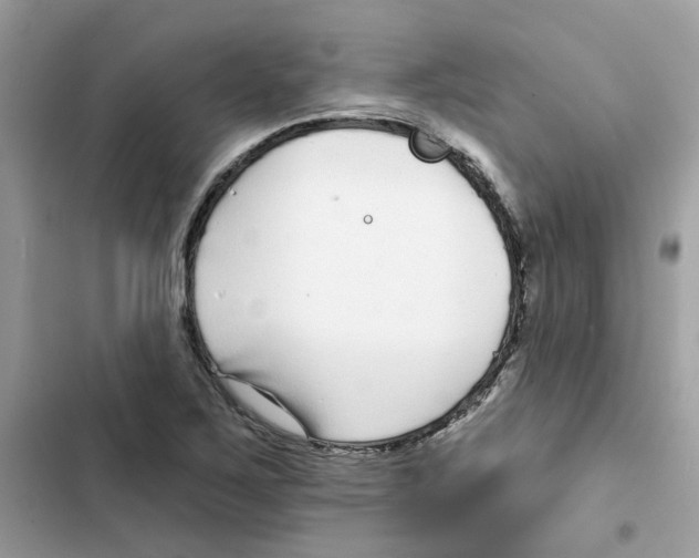 X0000101981267200808151353