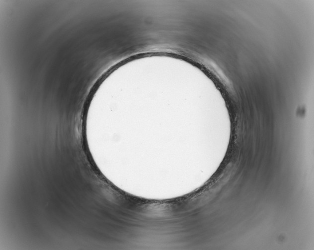 X0000101981268200808151353