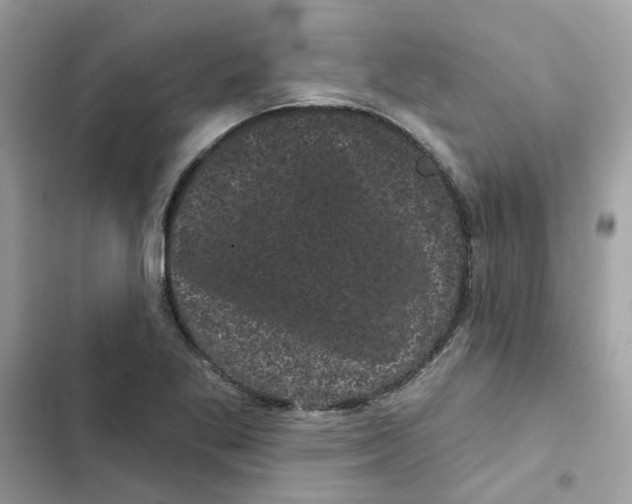 X0000101981269200808151353