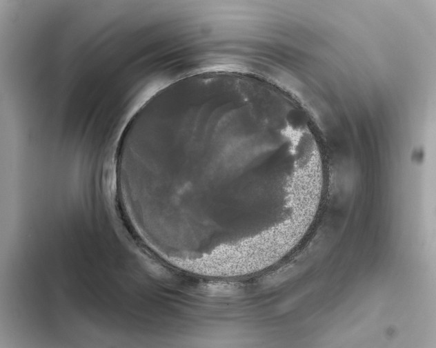 X0000101981274200808151353